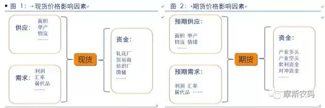 _images/期现货价格影响因素.jpg